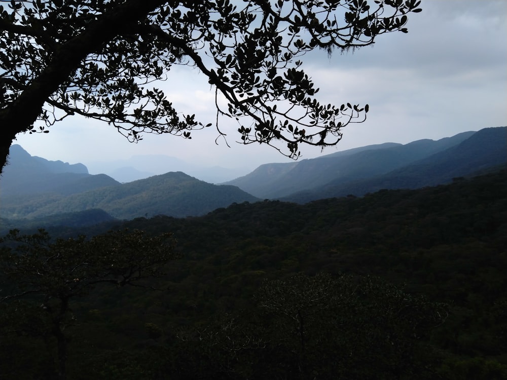 green mountains under white sky during daytime