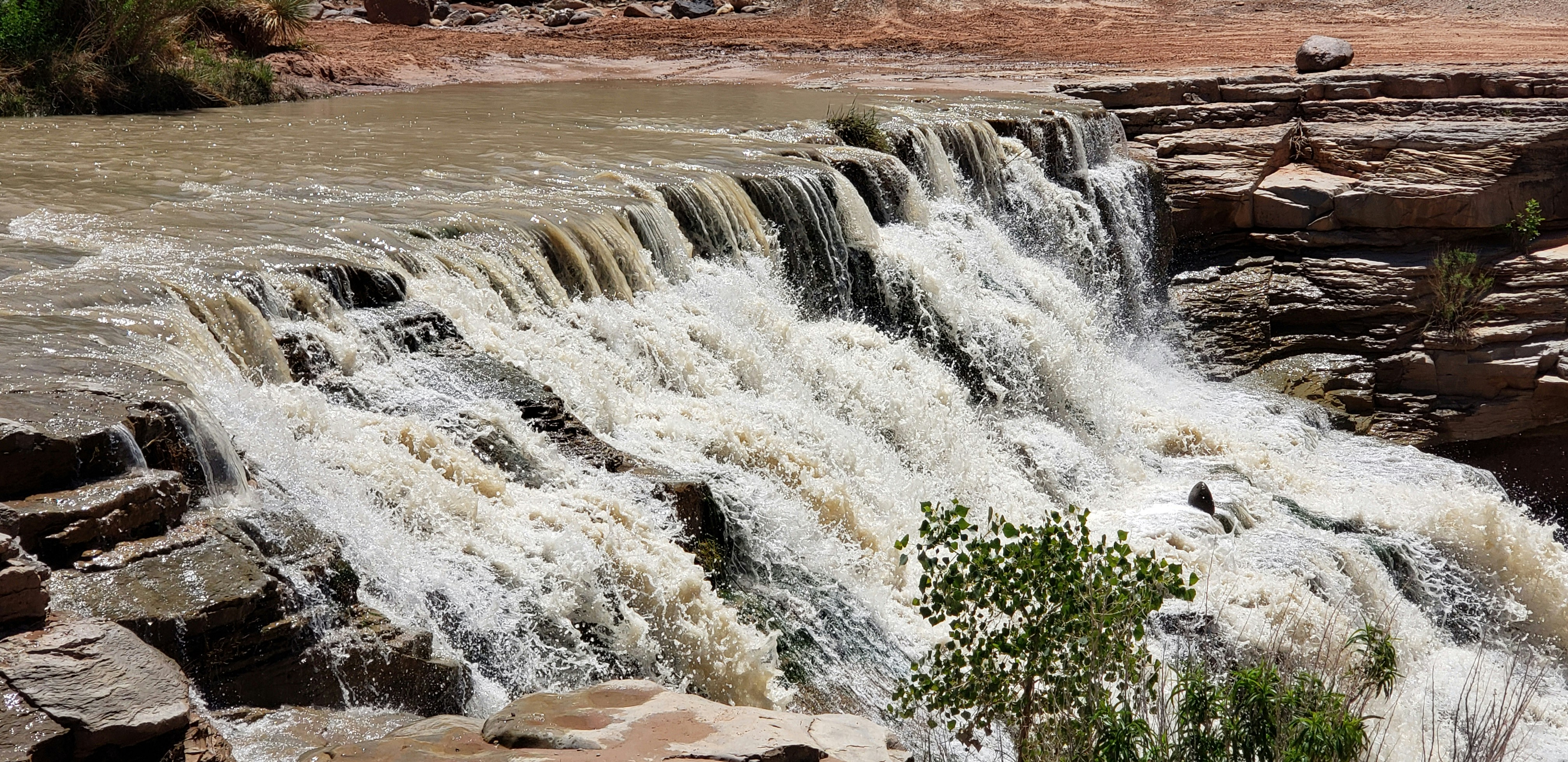 Photo by pmangiaracina