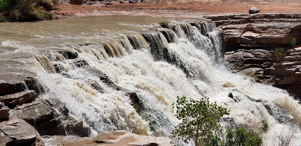 water falls with green plants