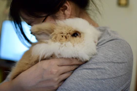 woman in gray sweater holding white rabbit