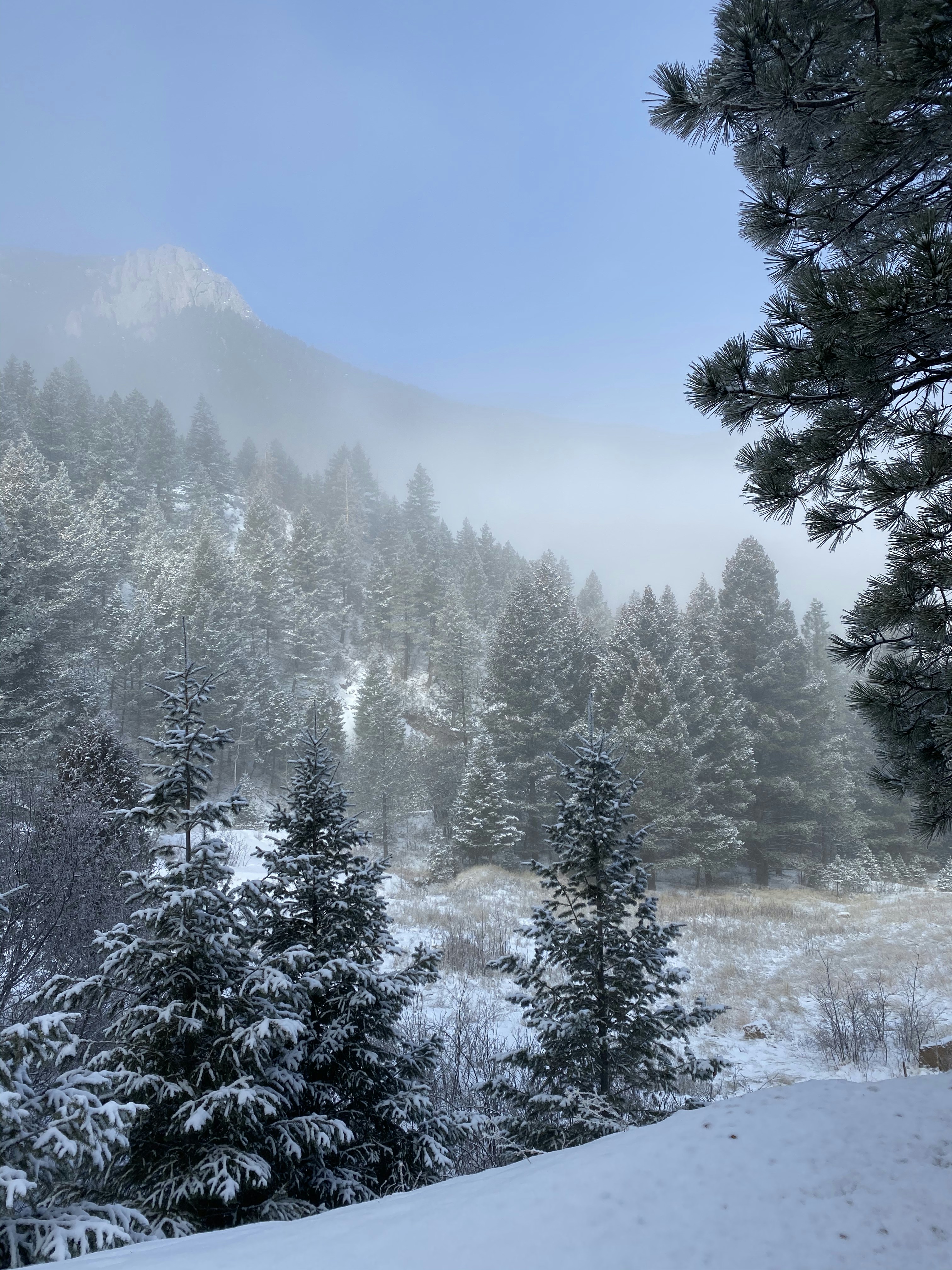 Photo by laitonbarbo