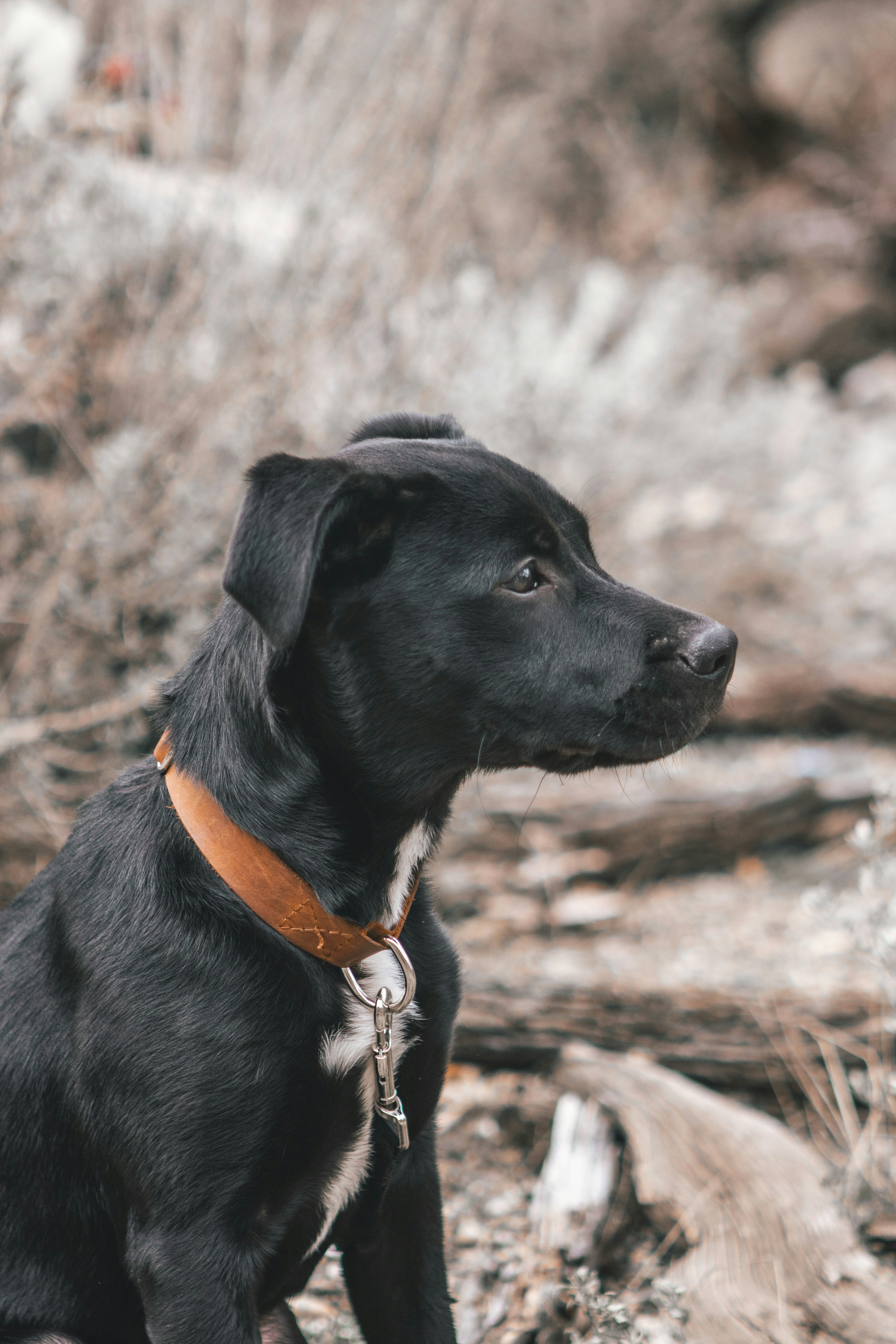 Photo by adamthomas48