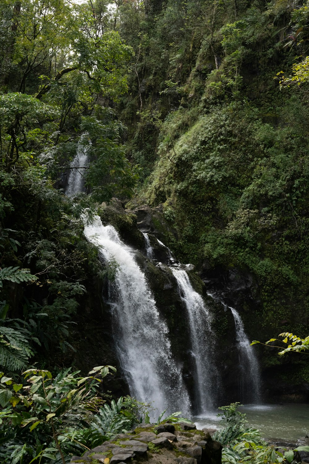 waterfalls in the middle of green trees