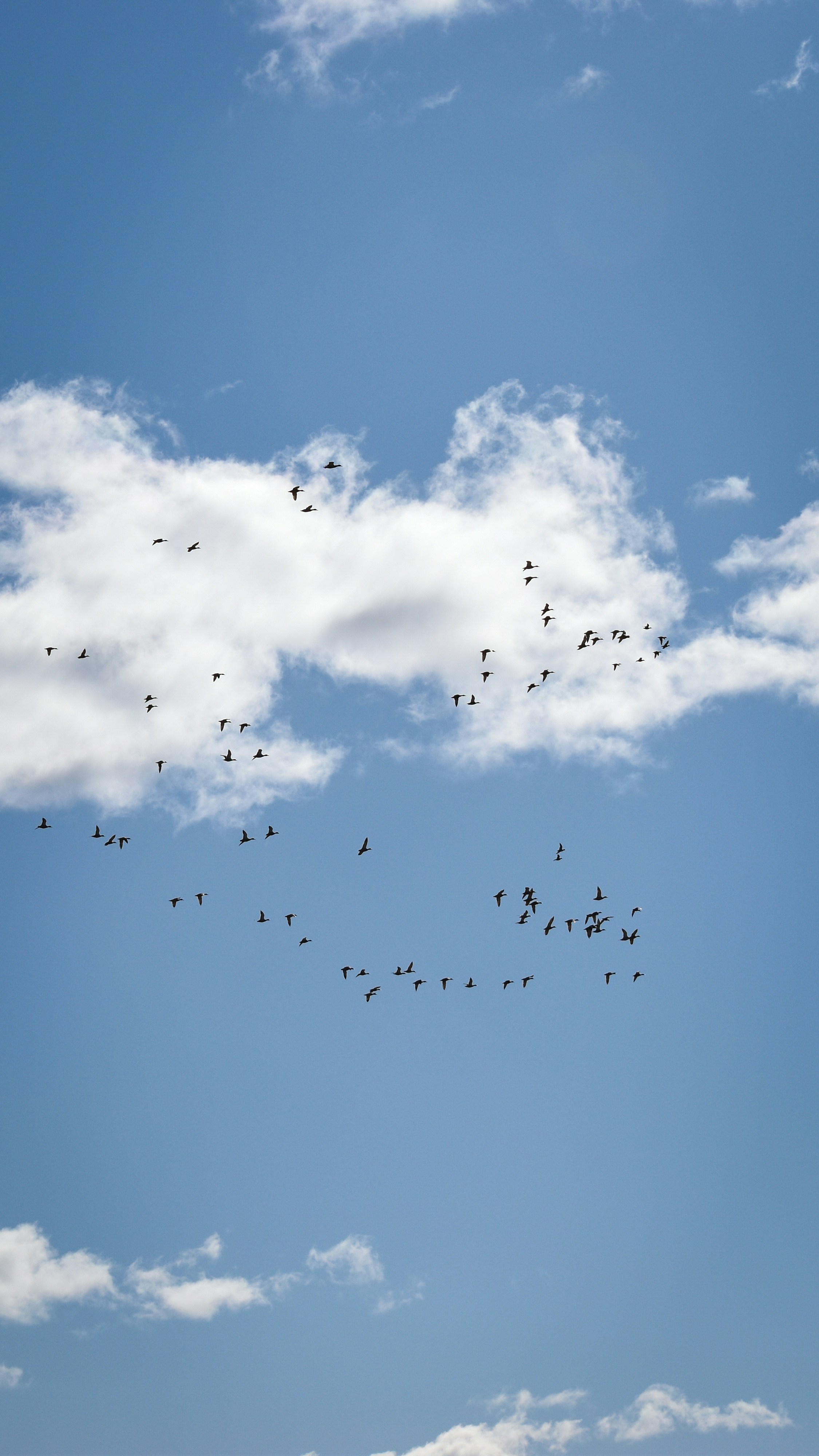 Photo by artem_makarov