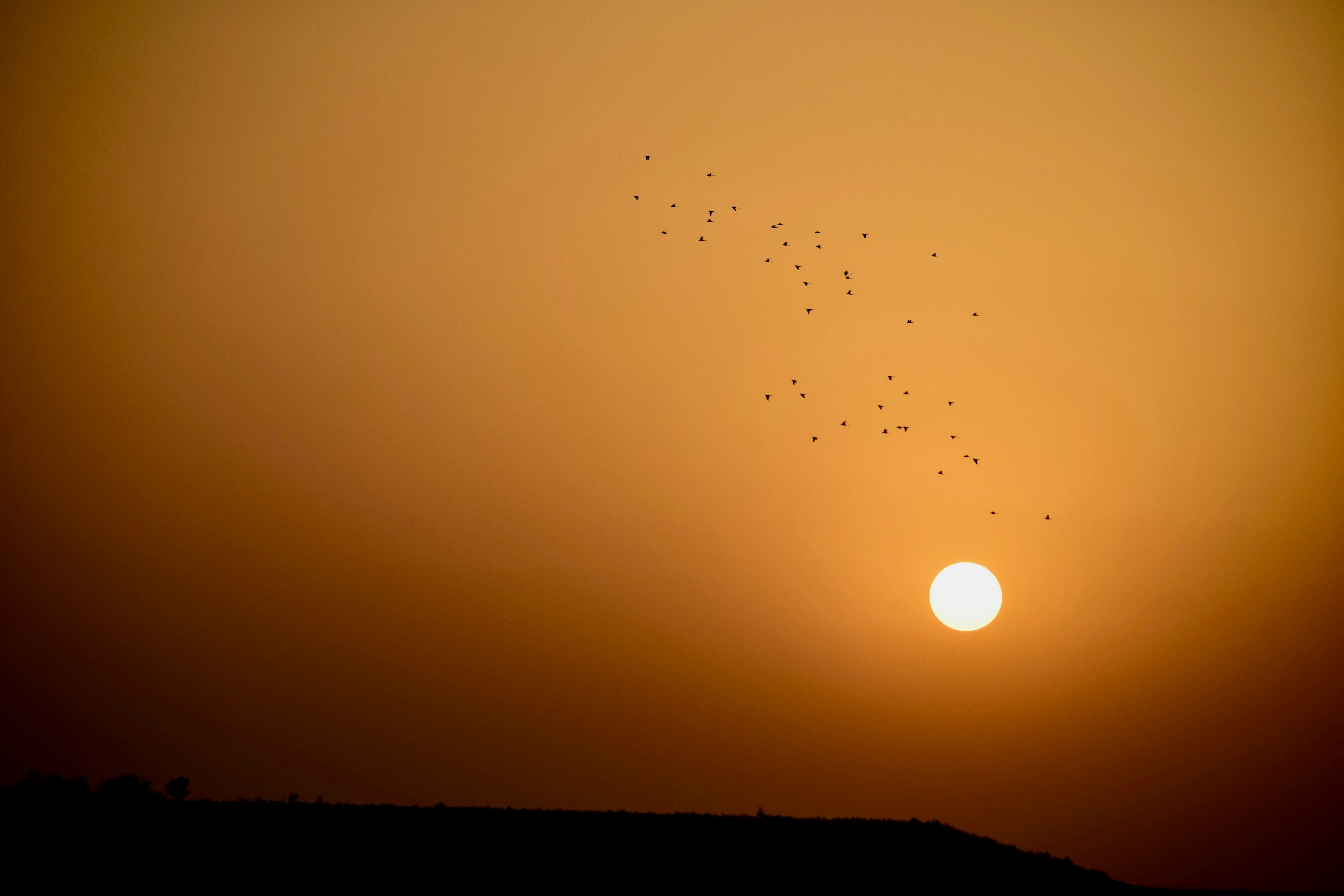 Photo by rrajputphotography