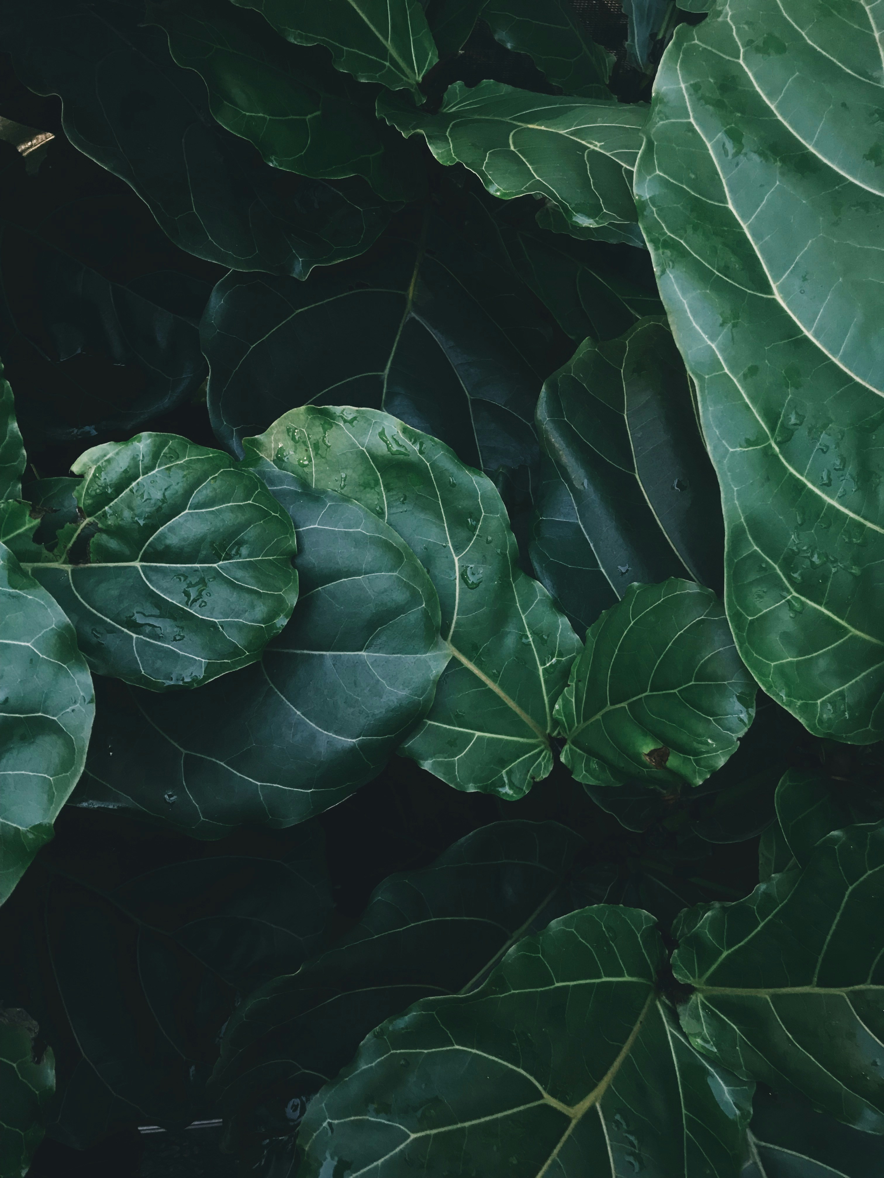 Photo by bellafosterdesign