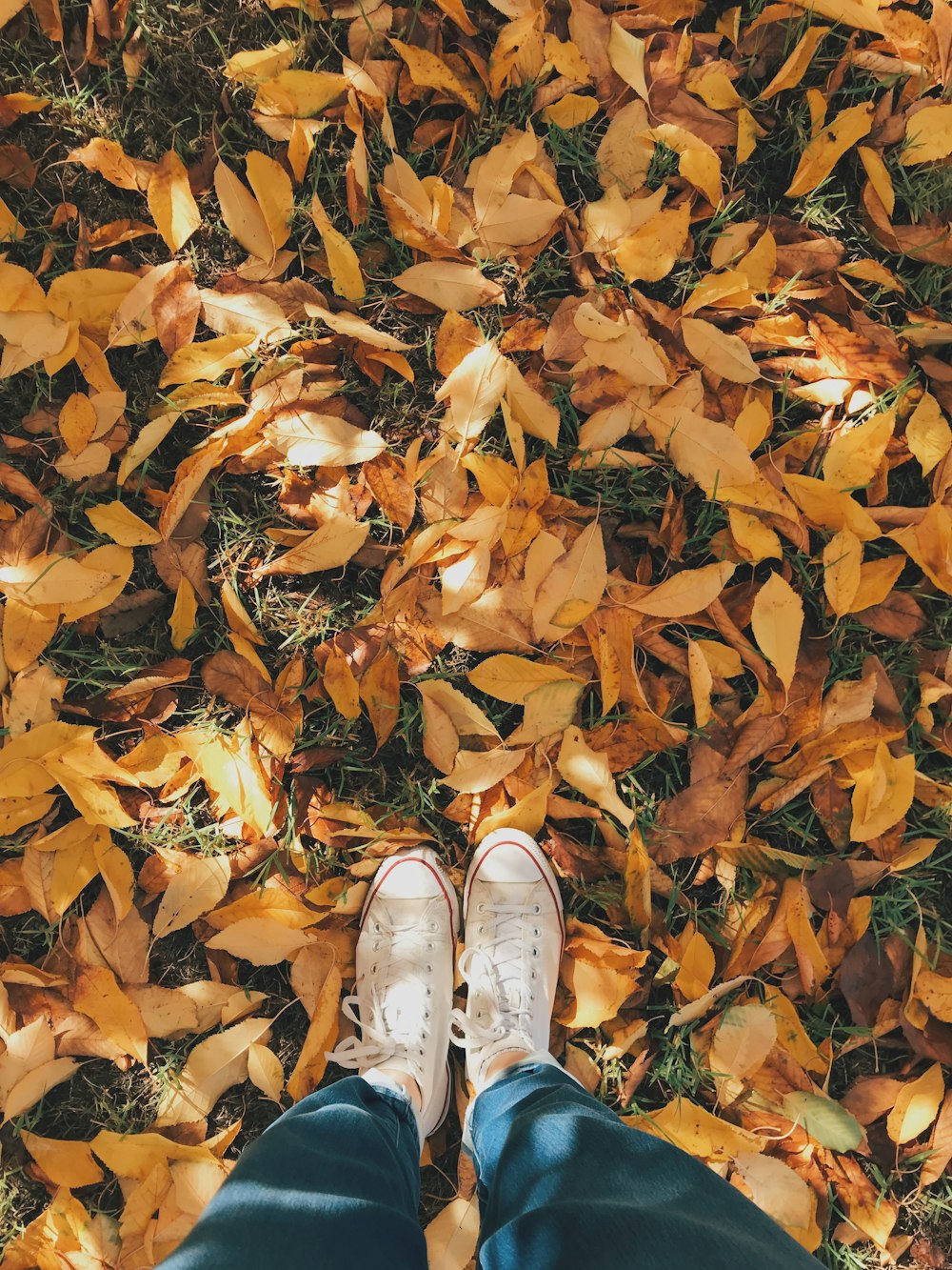 person in white sneakers standing on dried leaves