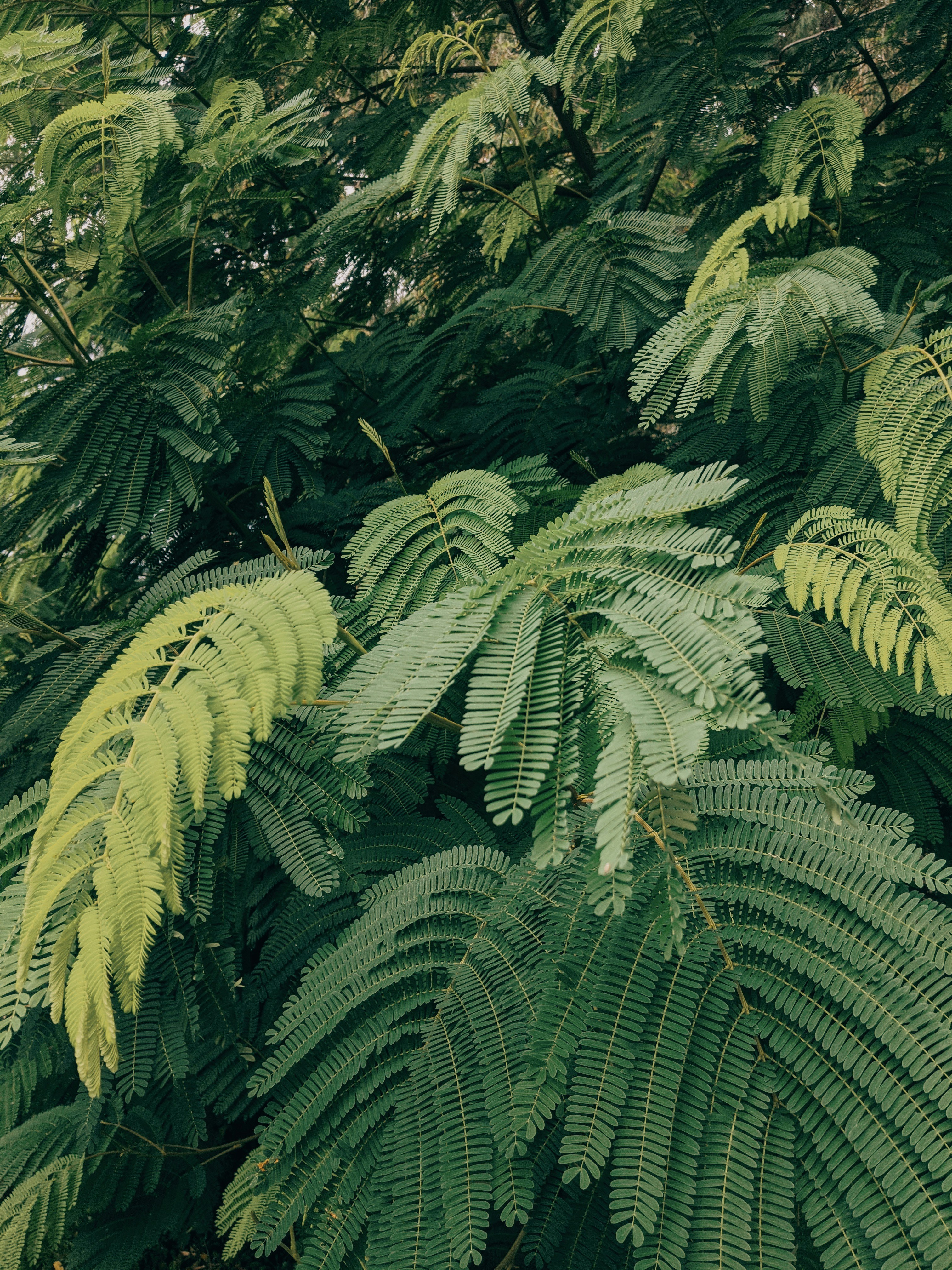 Photo by bellafosterdesign