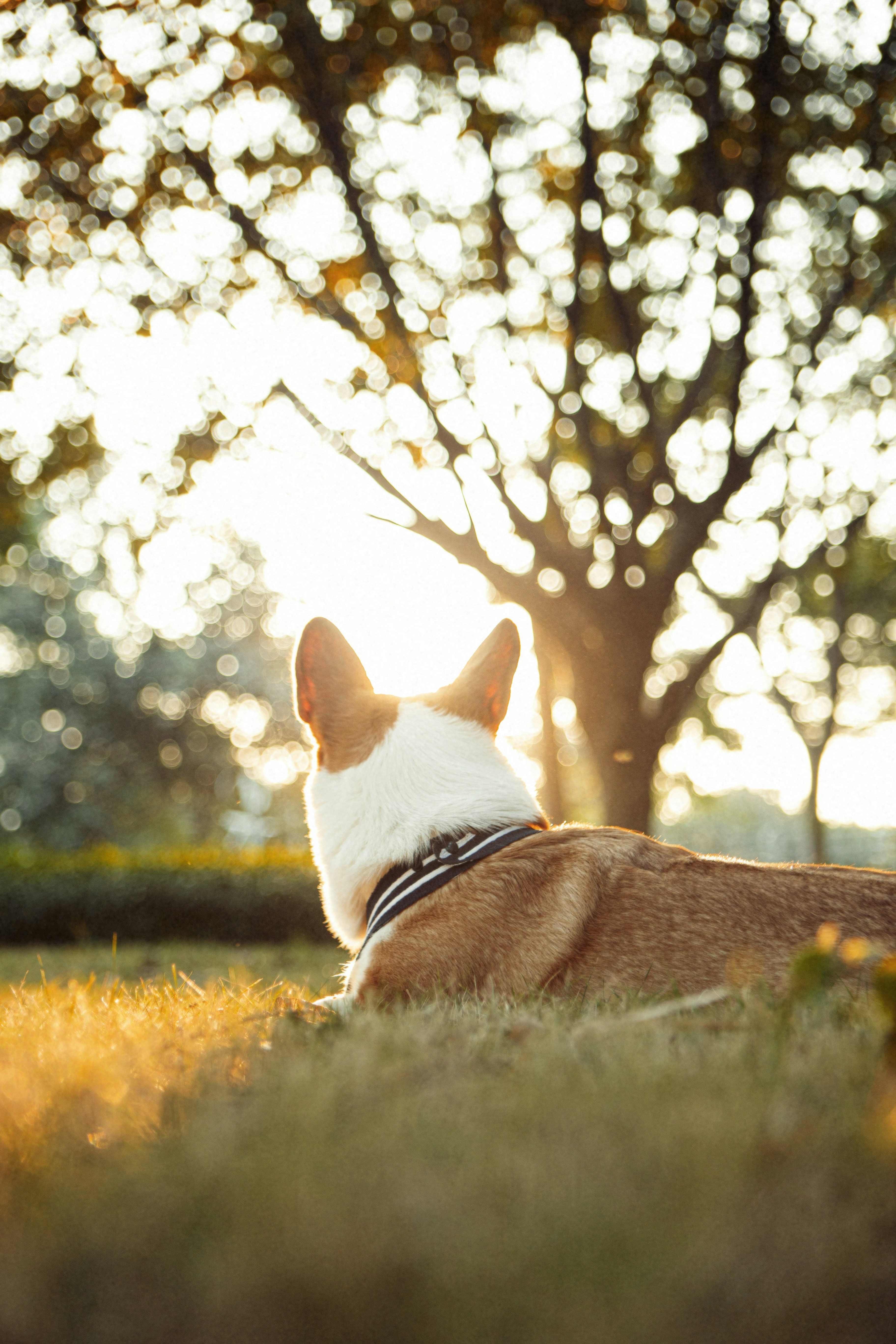 Photo by vinomamba24