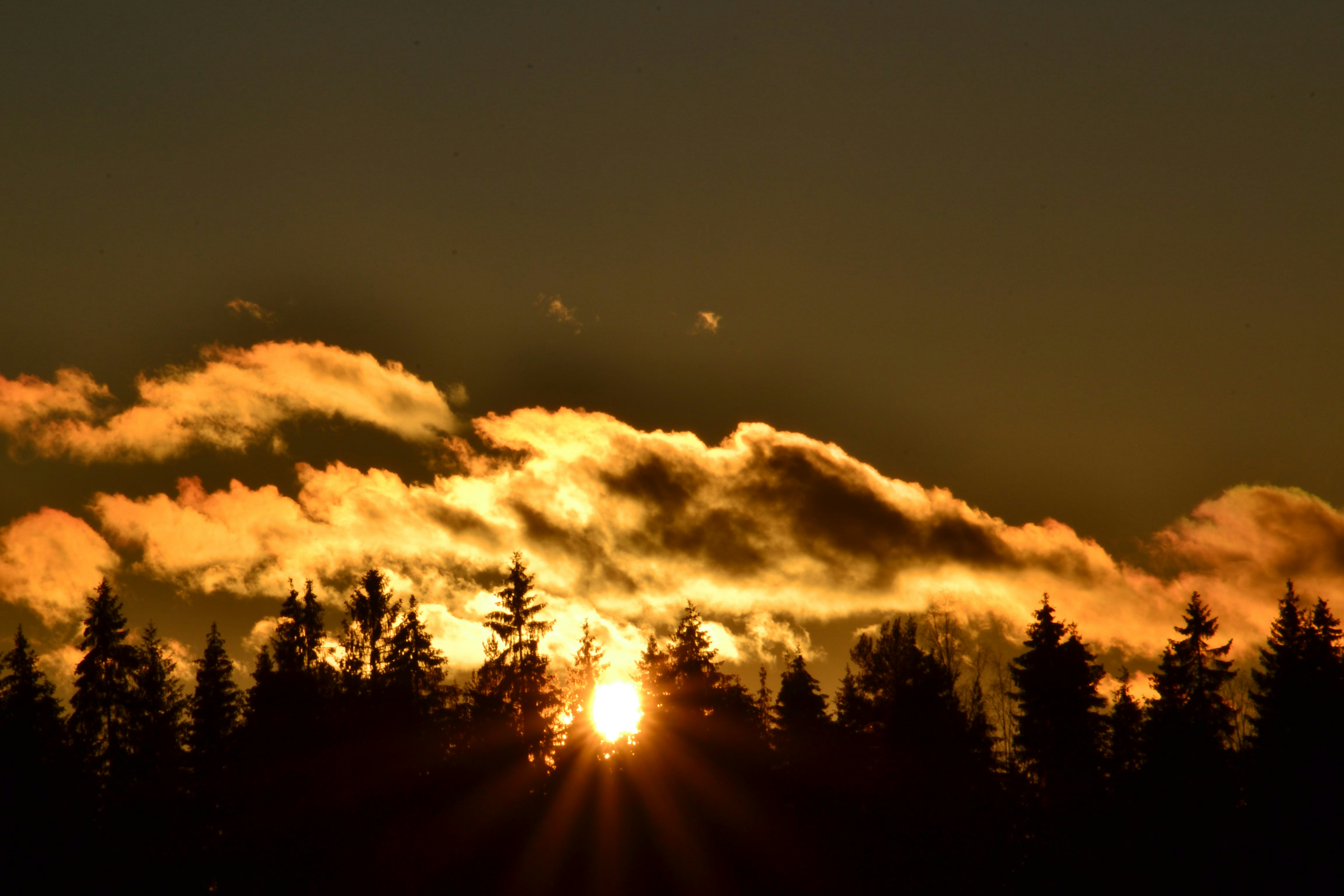 Photo by annikakutsar