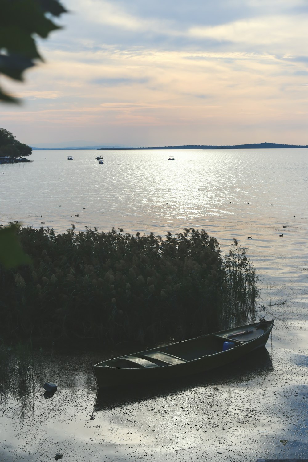 white and black boat on water during daytime