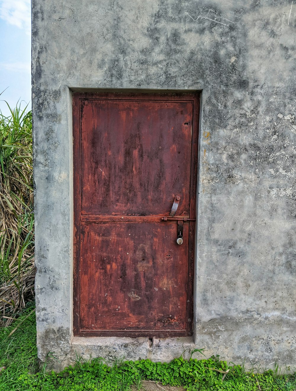 Una puerta roja en una pared de cemento con hierba