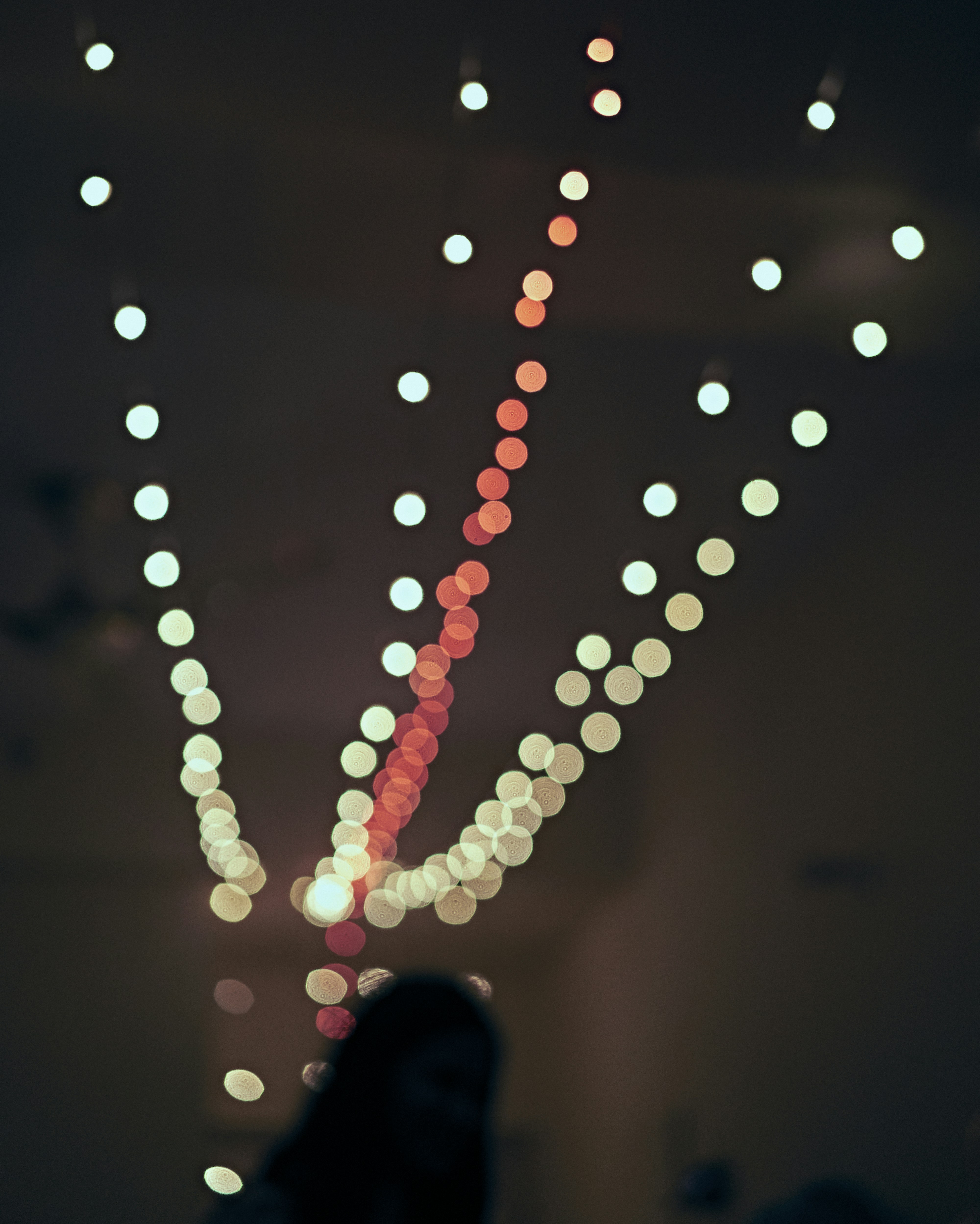 Photo by suicide_chewbacca