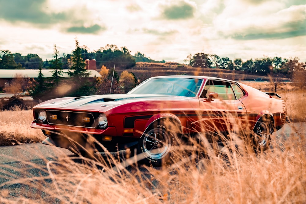 red and black muscle car on brown field during daytime