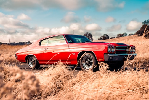 A classic red muscle car is parked on a rural road surrounded by tall, dry grass. The vehicle features sleek lines and chrome accents, with vintage styling indicative of mid-20th century American automobiles. The background includes a partly cloudy sky and scattered trees, contributing to a serene and nostalgic atmosphere.