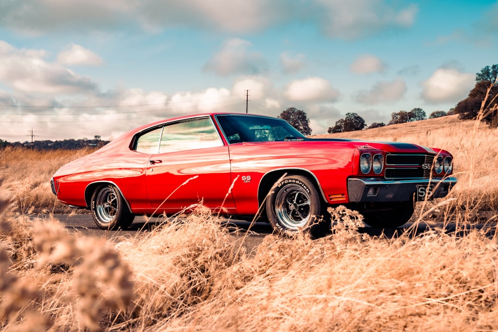 red chevrolet camaro on brown grass field during daytime