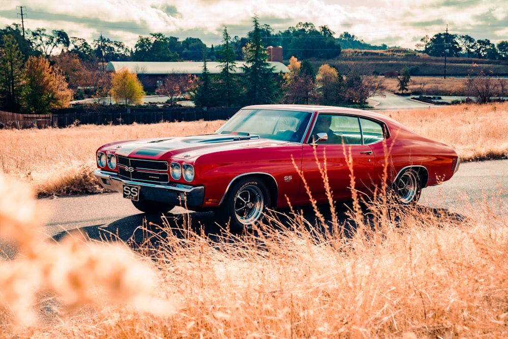 red chevrolet camaro on brown grass field during daytime