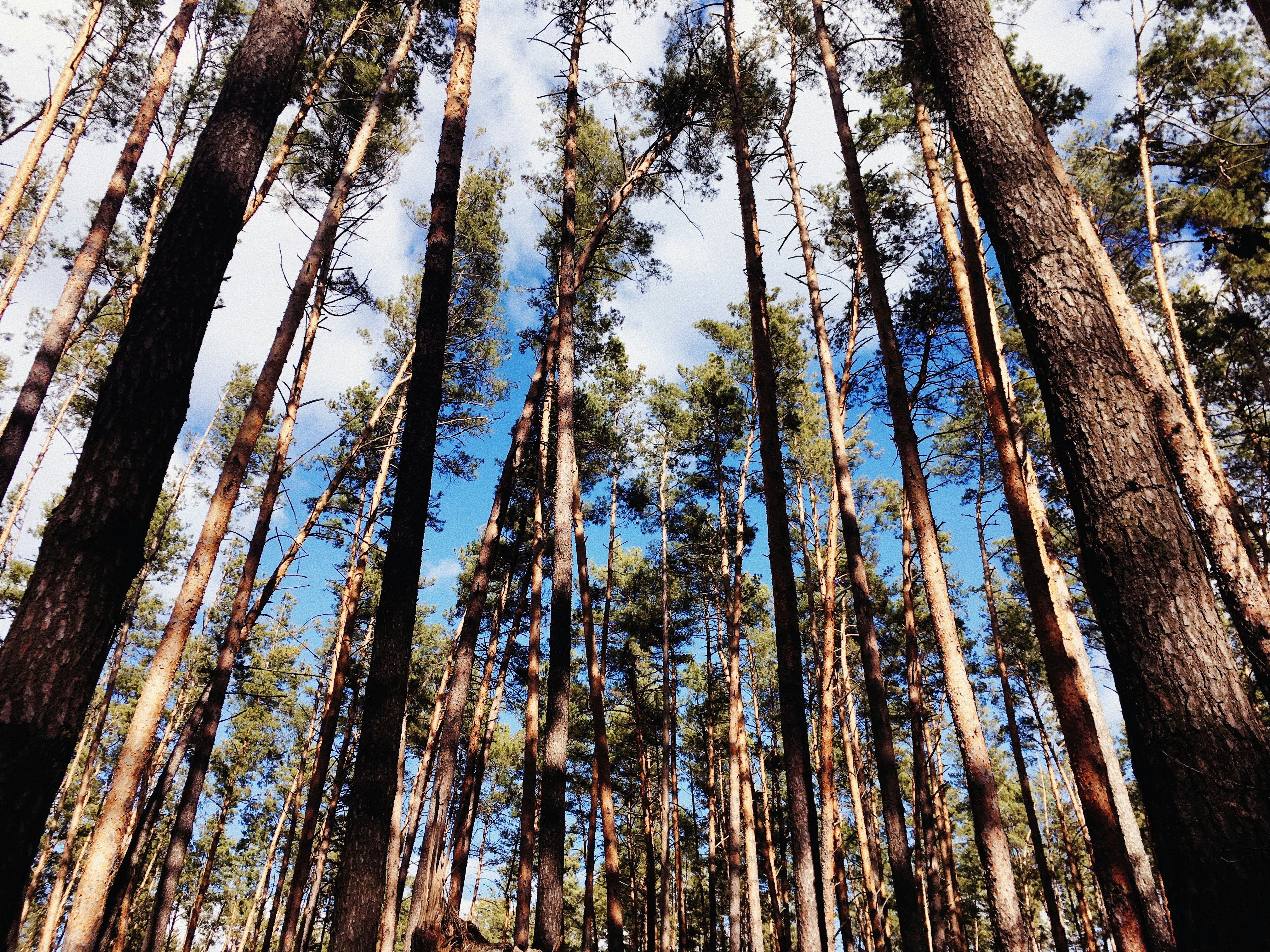 Photo by ingvar_erik