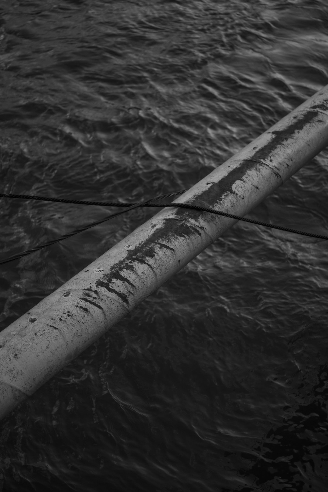 gray scale photo of a wooden stick