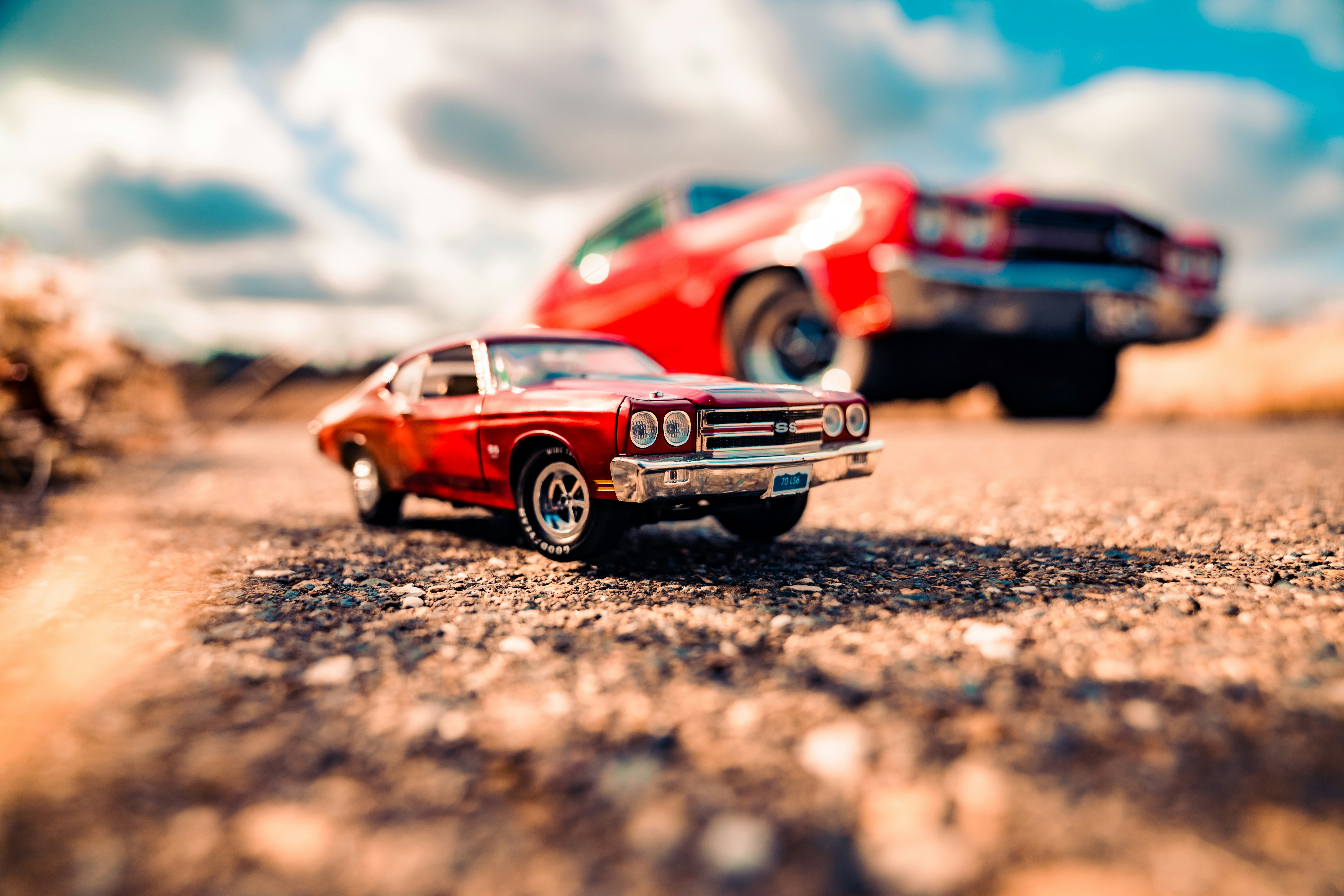 Photo by merittthomas