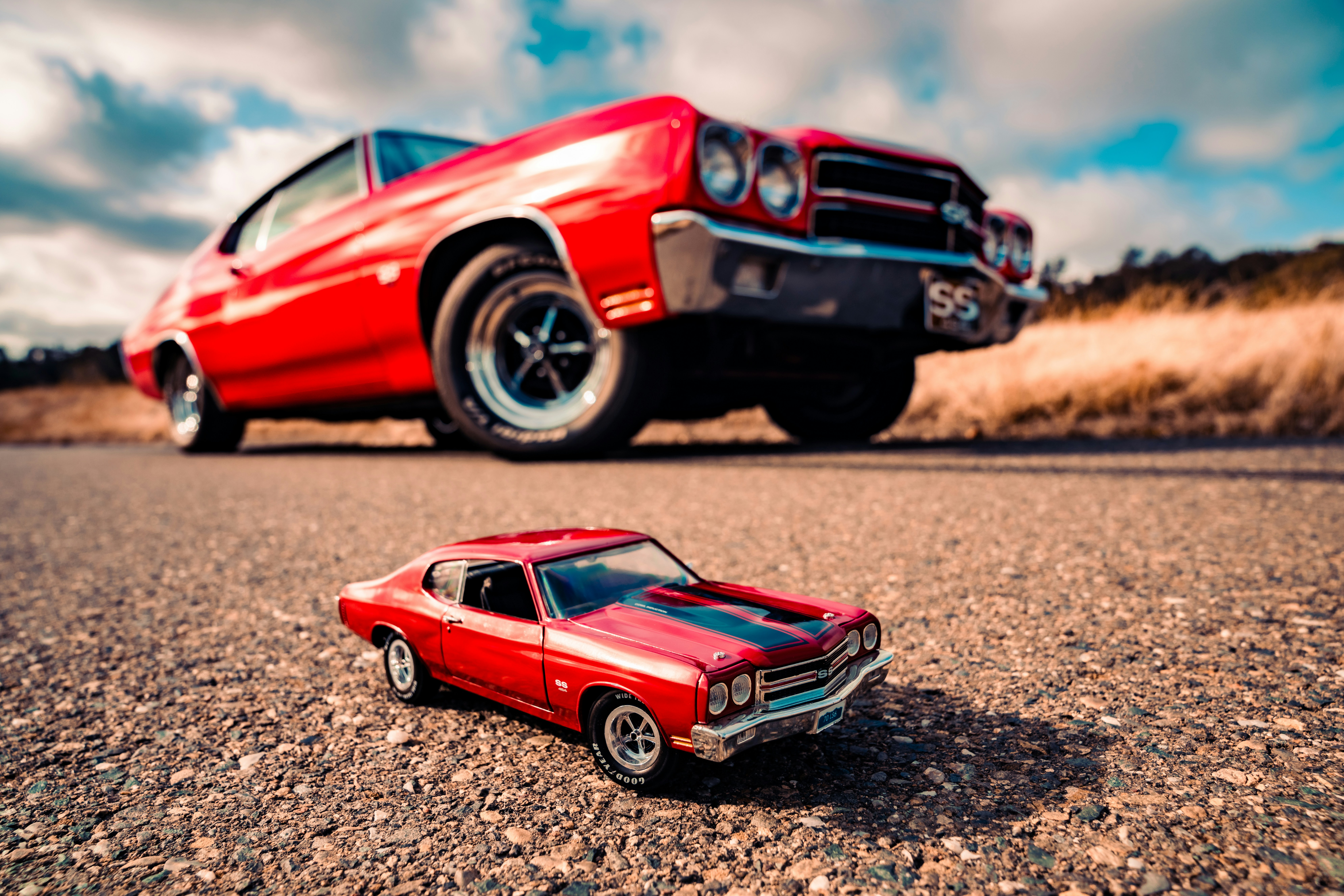 Photo by merittthomas