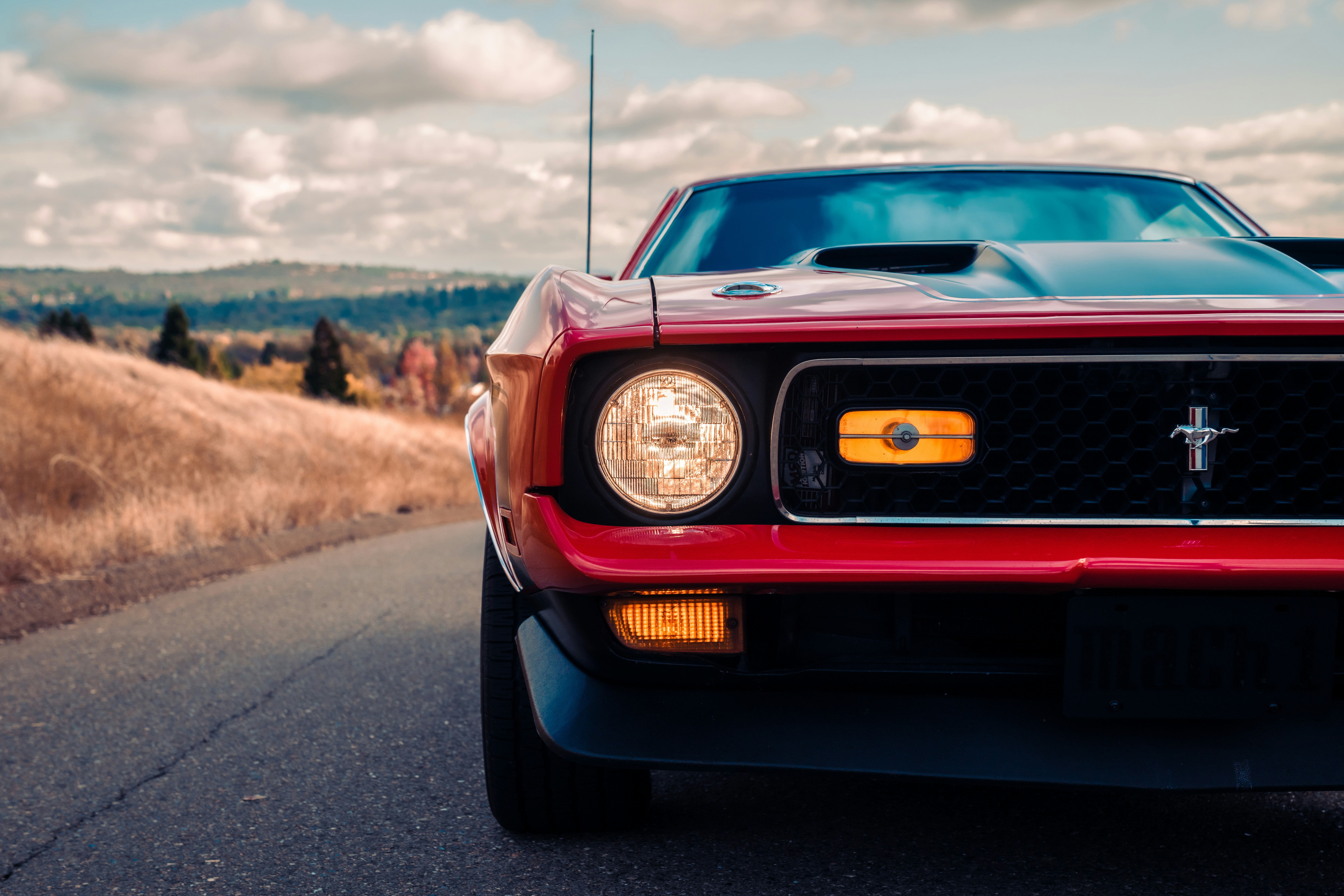 Photo by merittthomas