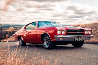 red chevrolet camaro on brown field during daytime