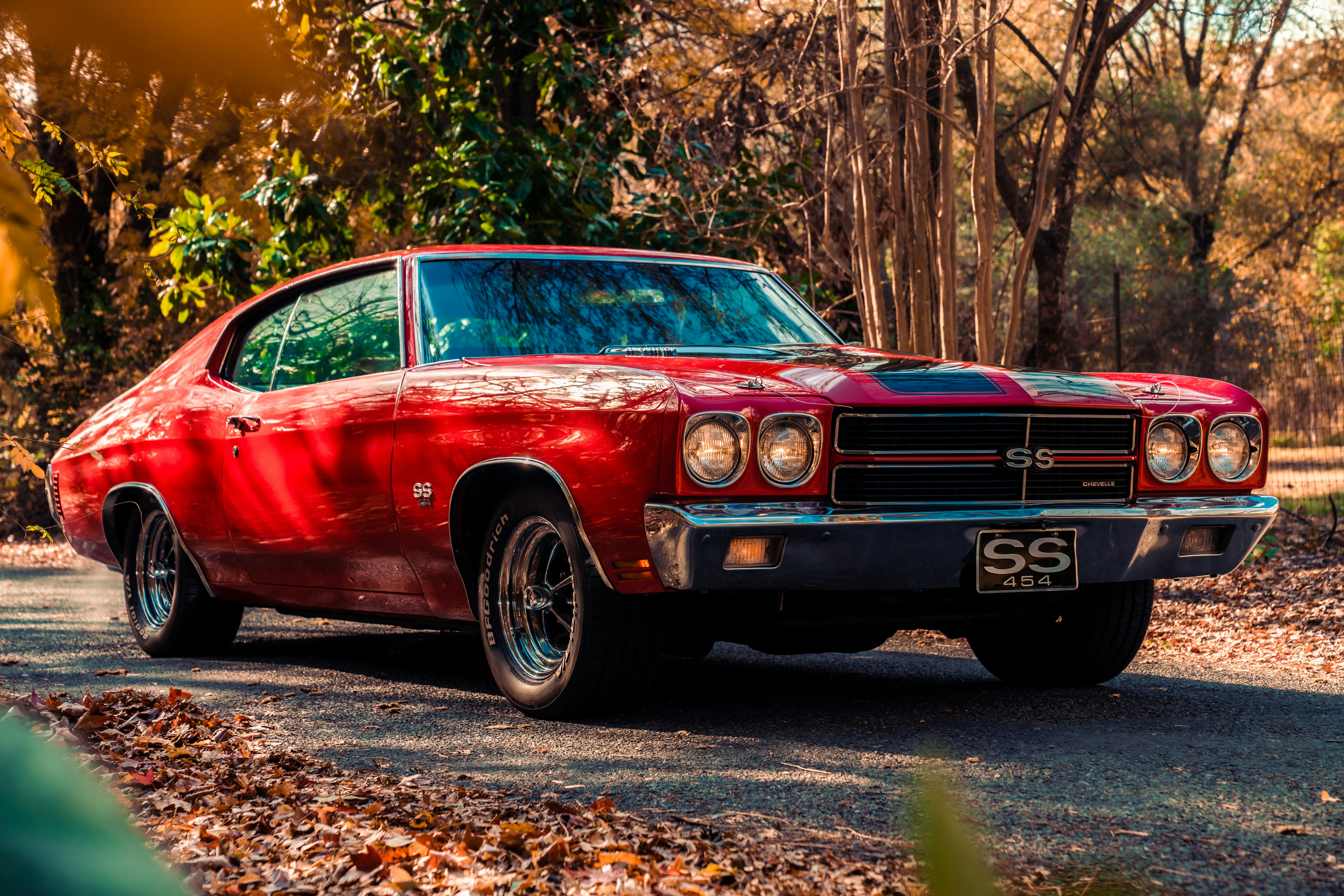 Photo by merittthomas