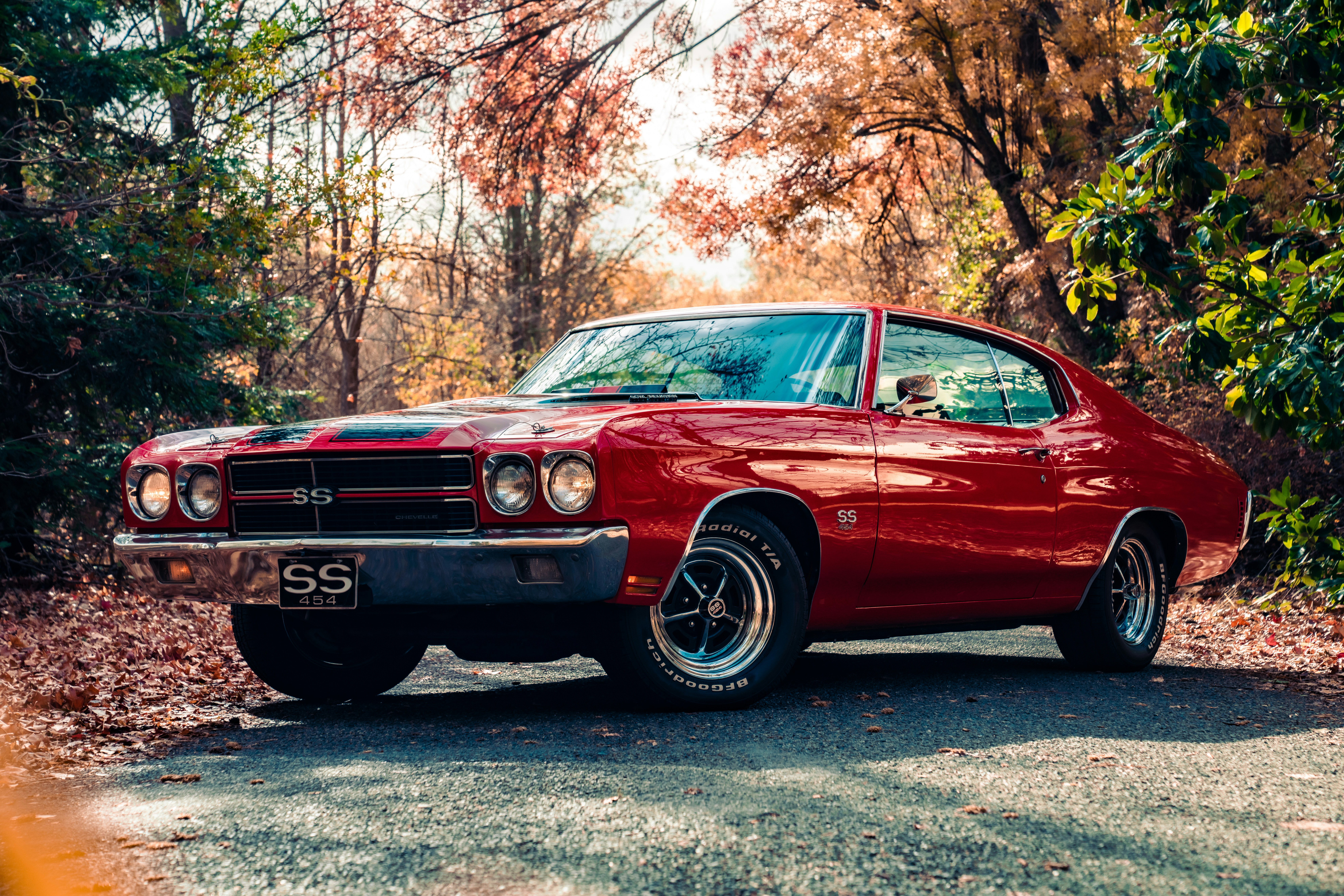 Photo by merittthomas