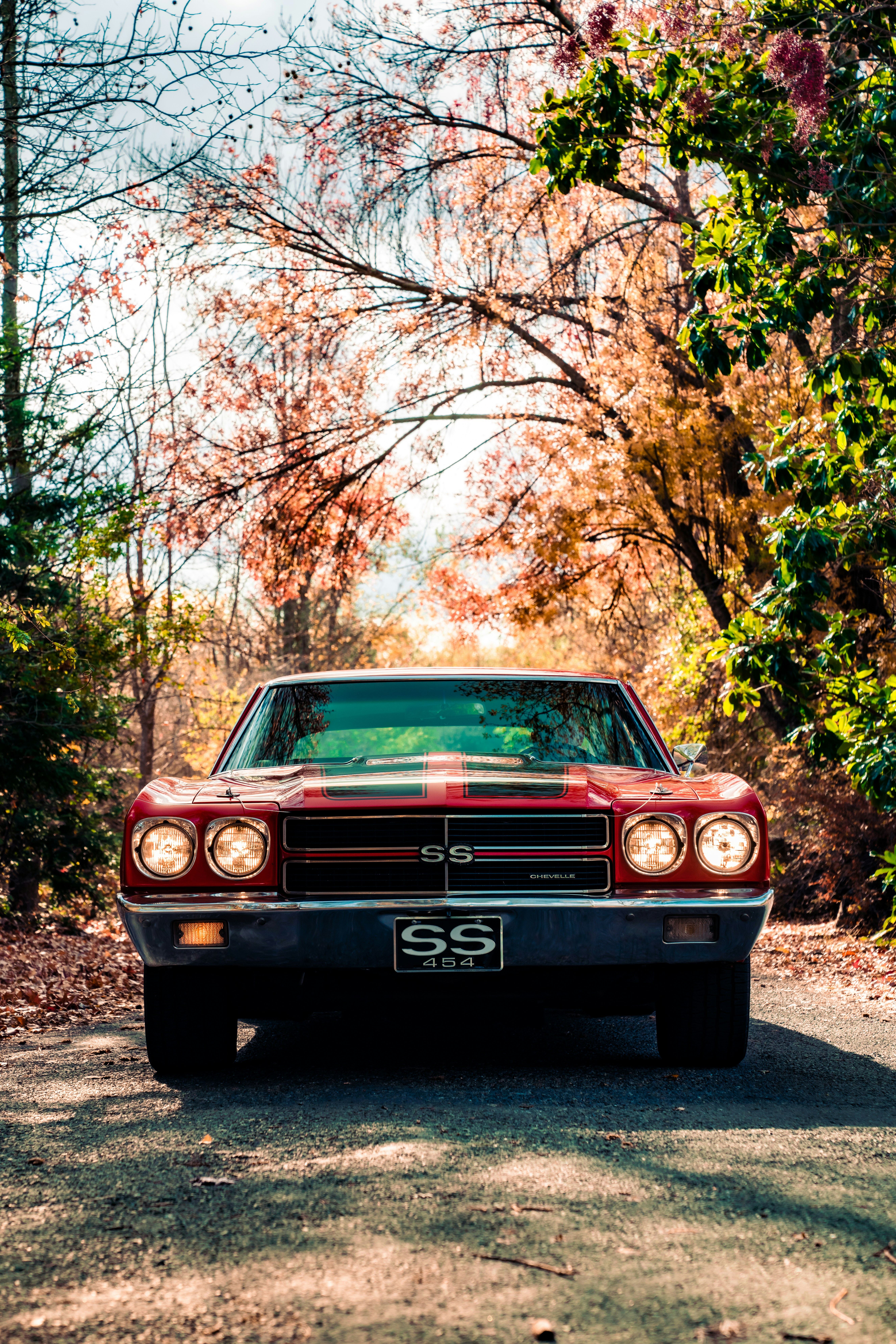 昼間は木の近くに駐車した赤い車の写真 Unsplashで見つけるキャメロンパークの無料写真