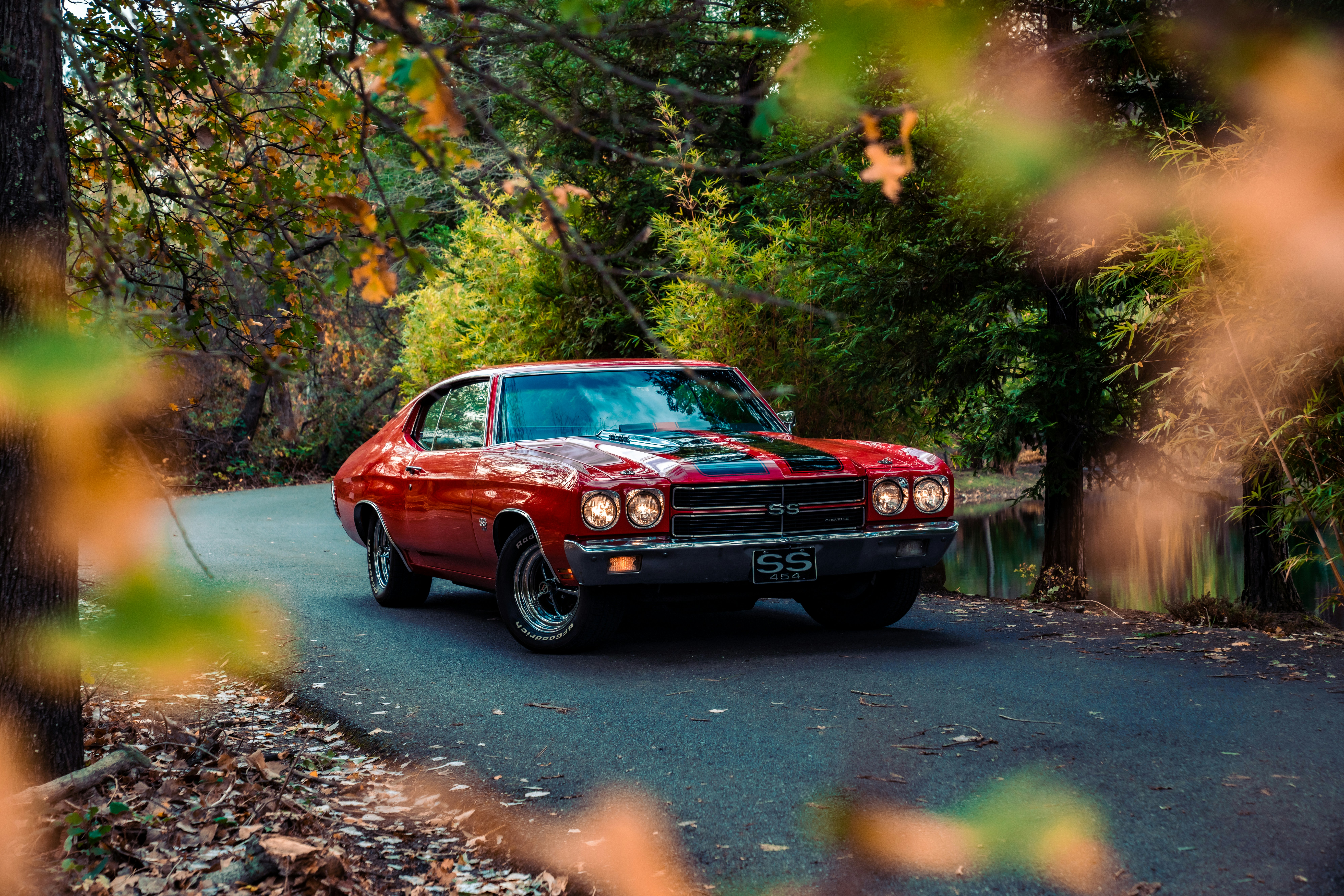 Photo by merittthomas