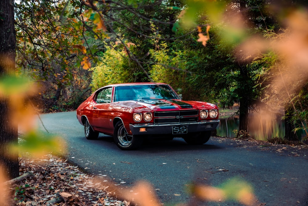 red chevrolet camaro on road