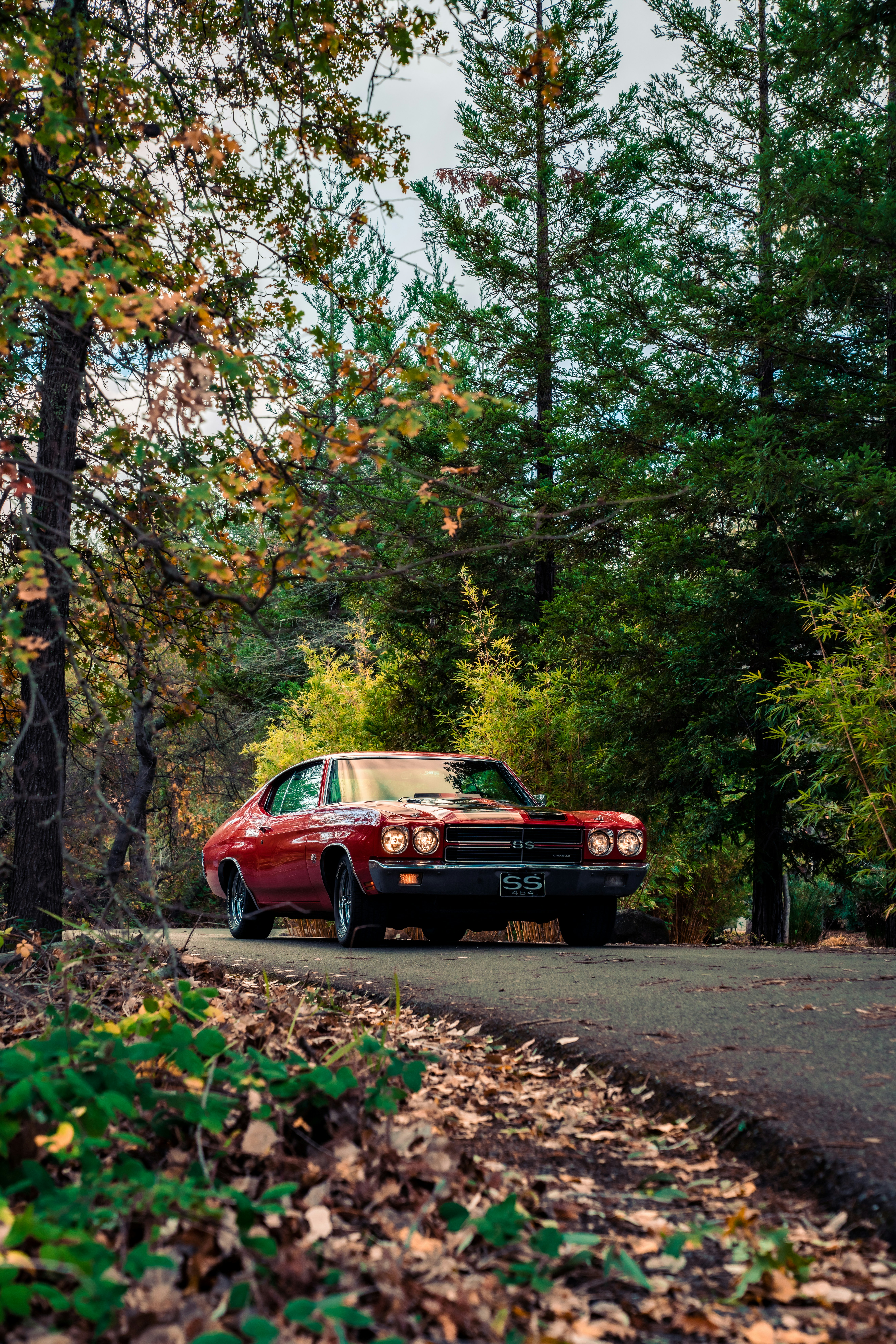 Photo by merittthomas