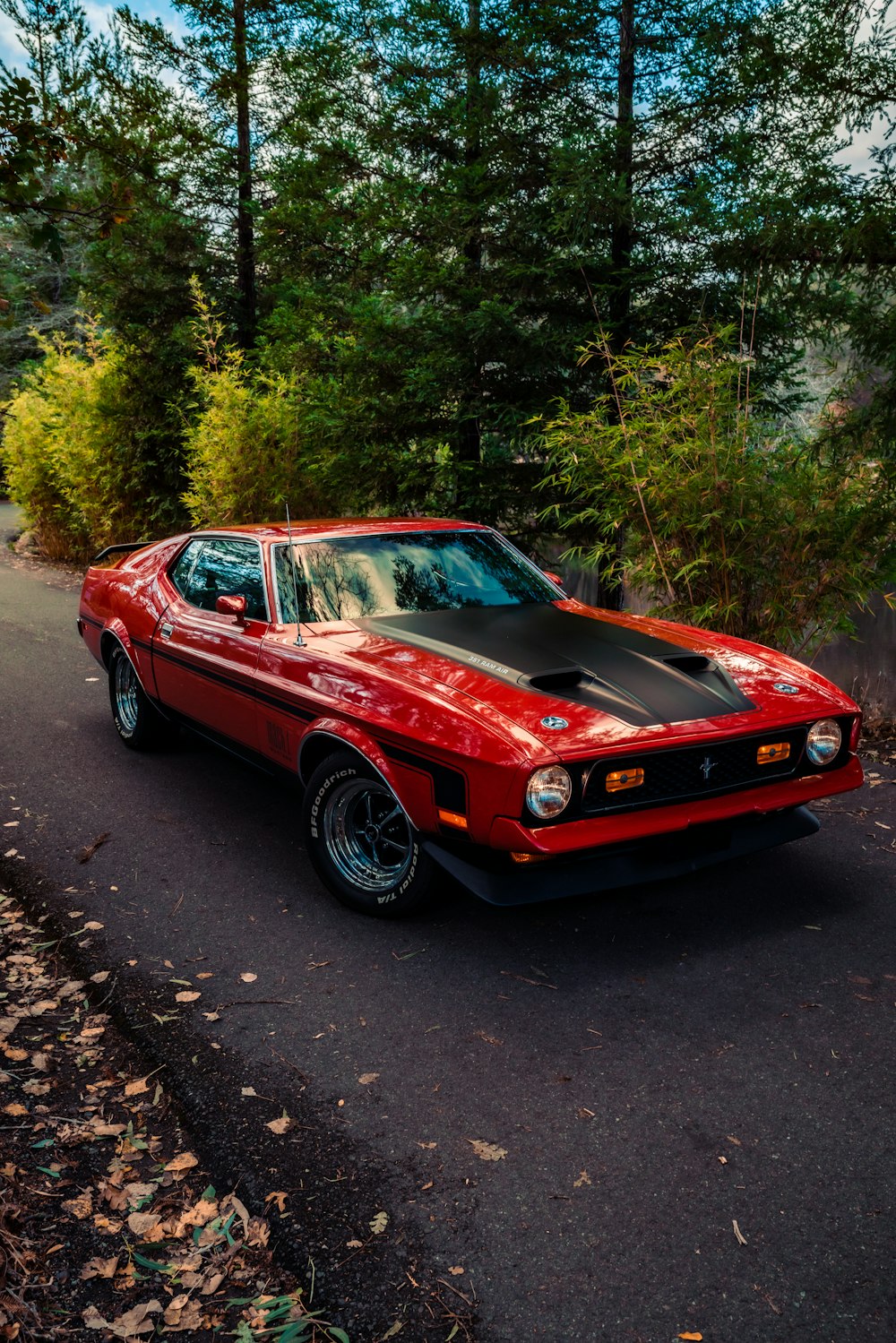 red chevrolet camaro on road during daytime