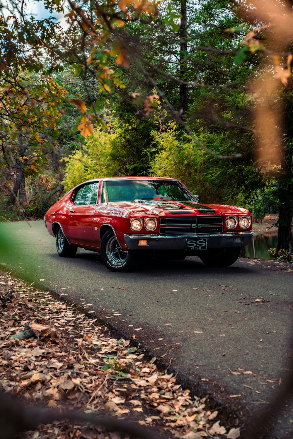 red and black chevrolet camaro on forest during daytime