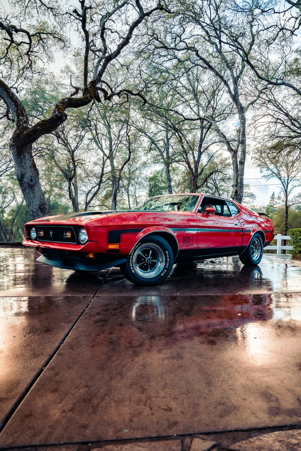 red chevrolet camaro on road