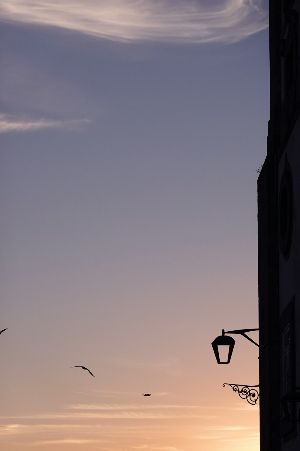 silhouette of street light during daytime