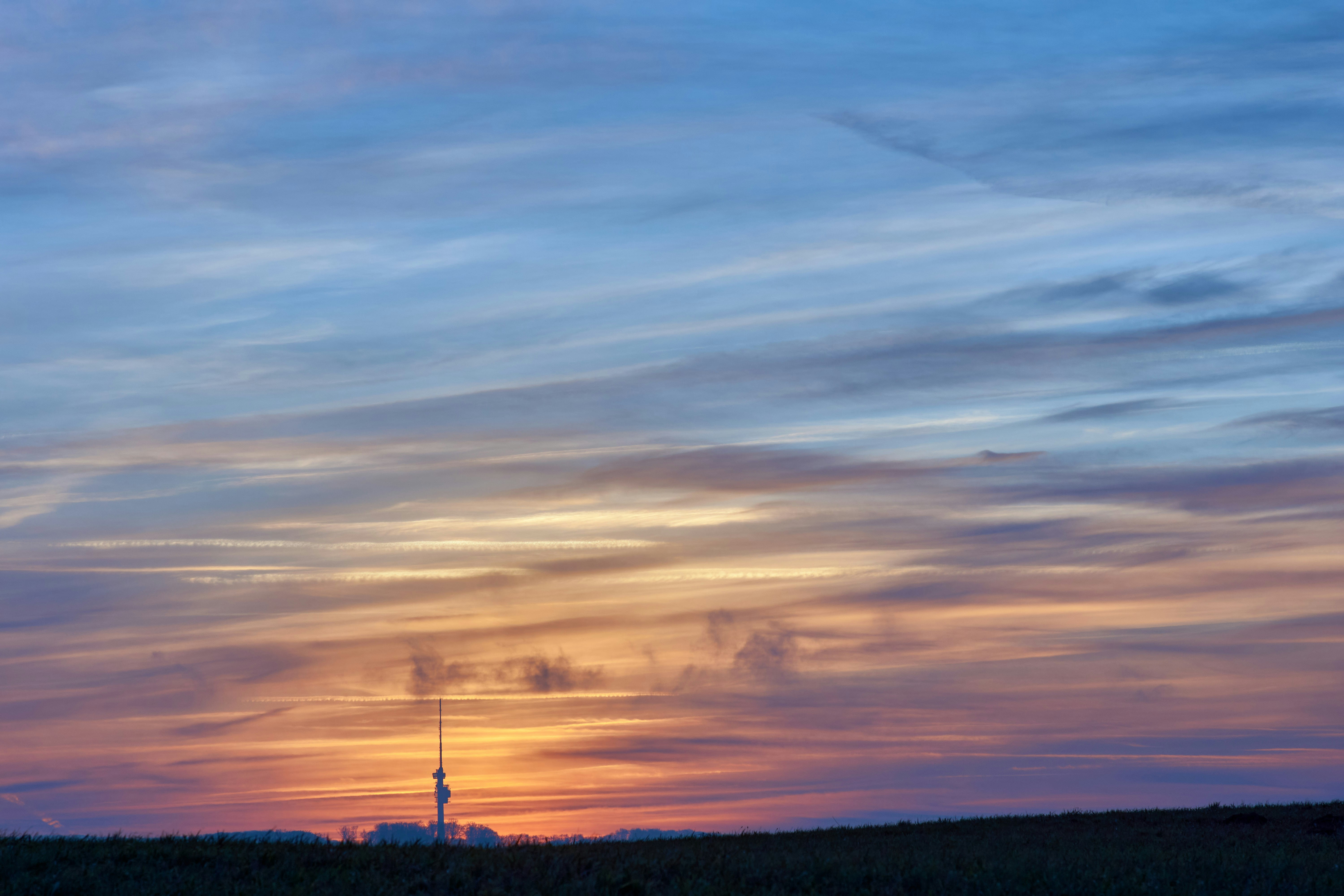 Photo by wolfgang_hasselmann