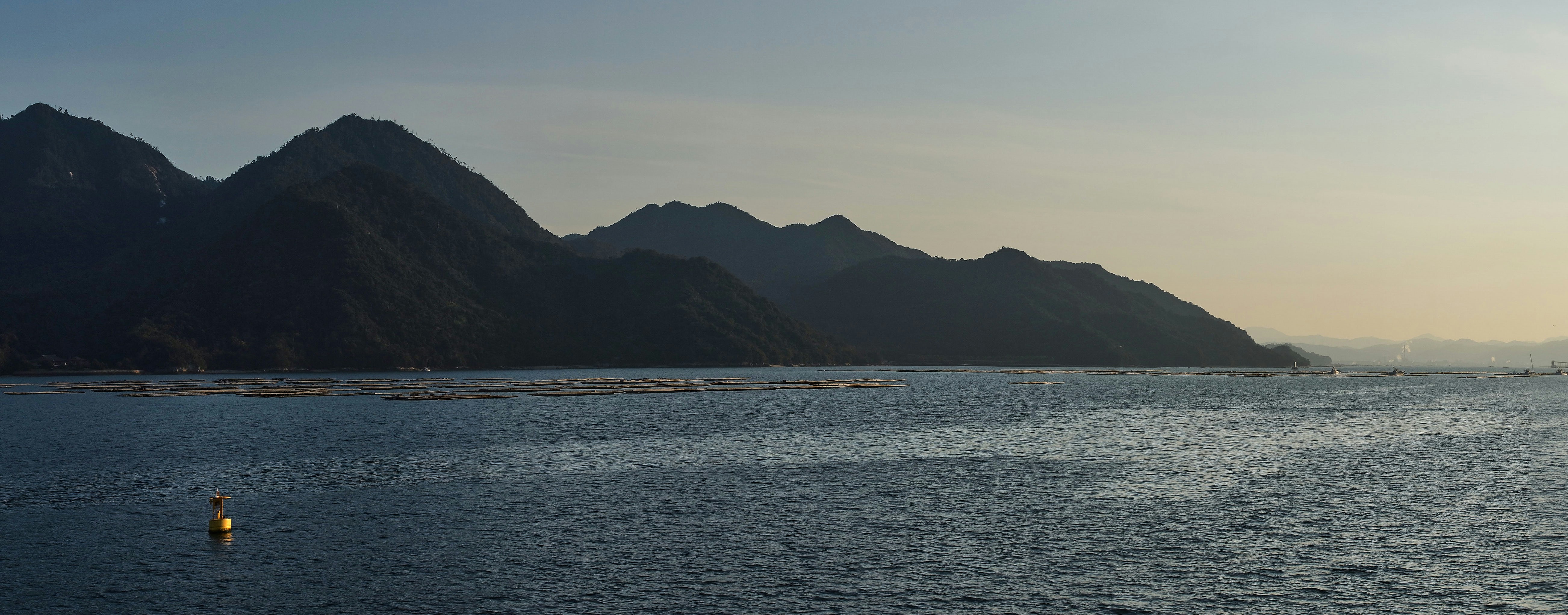 Photo by wolfgang_hasselmann