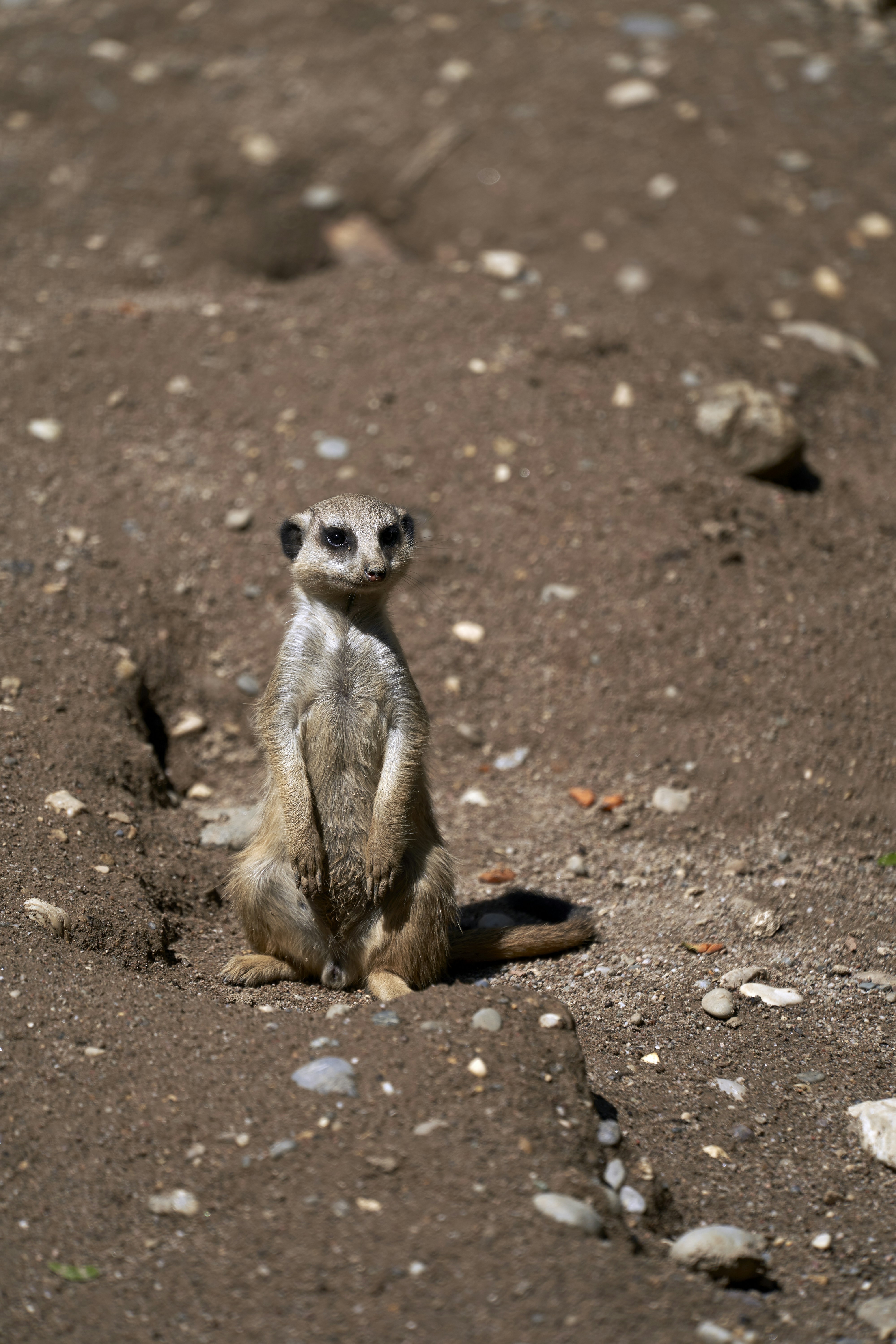 Photo by wolfgang_hasselmann