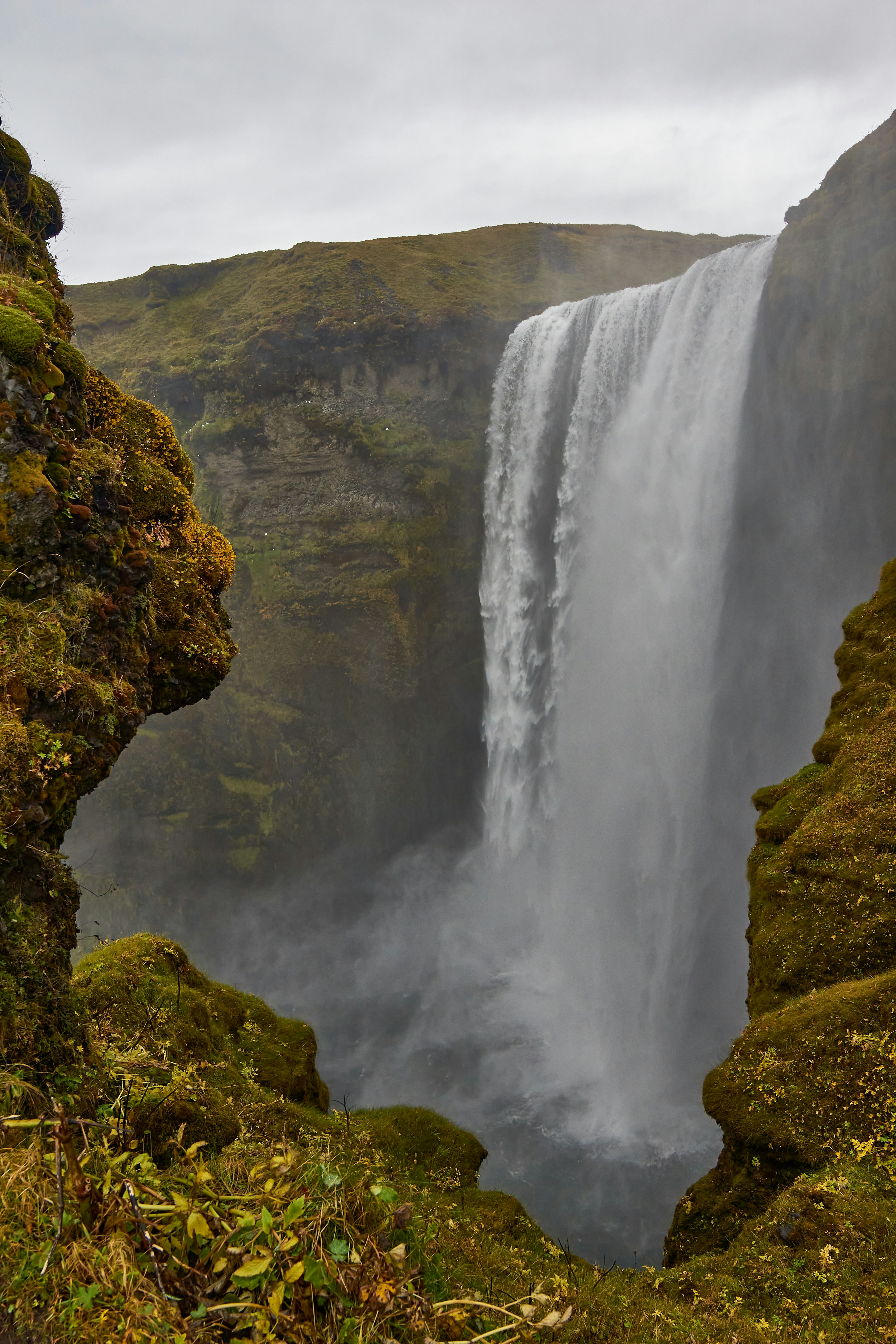 Photo by wolfgang_hasselmann