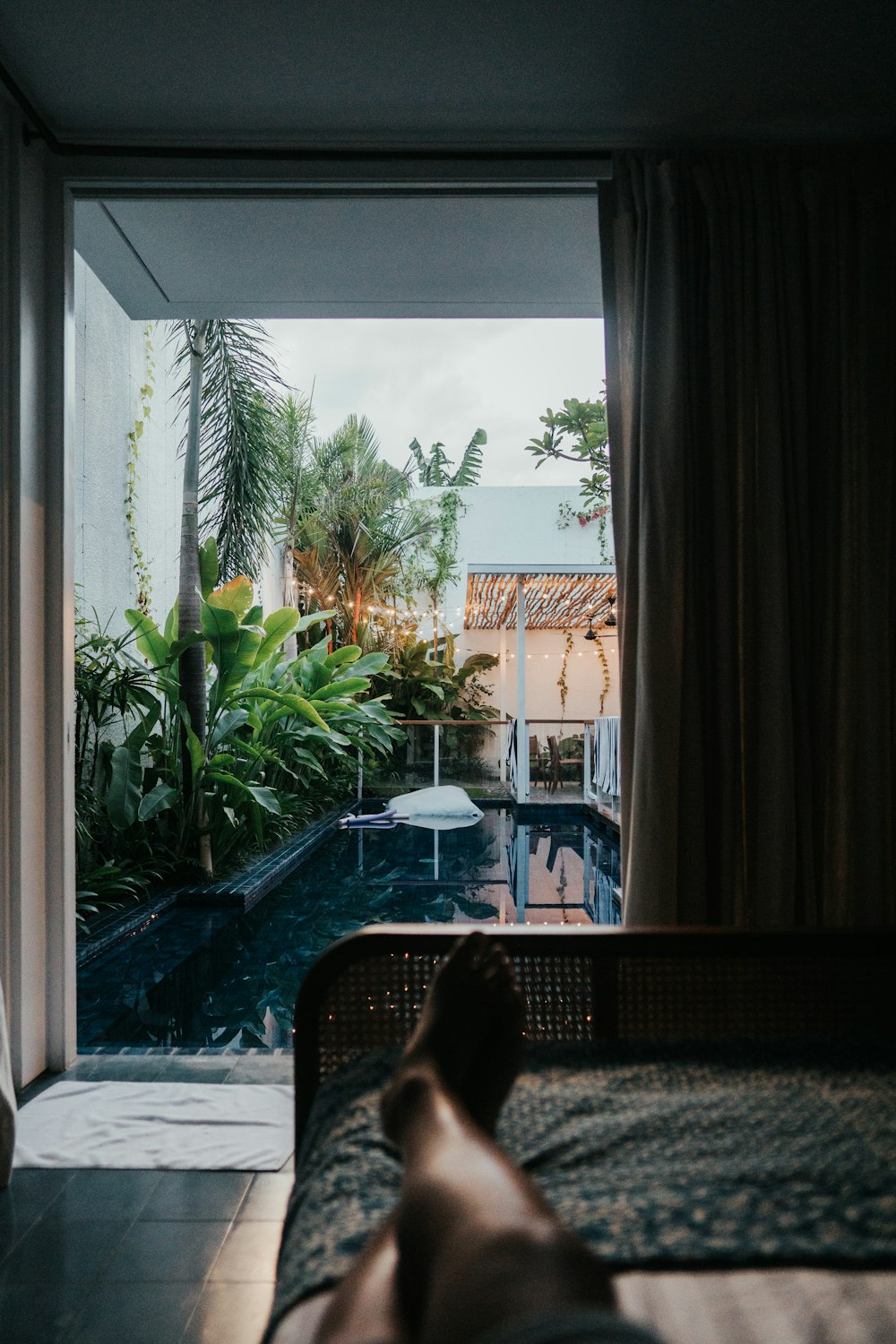 green palm tree near brown window curtain