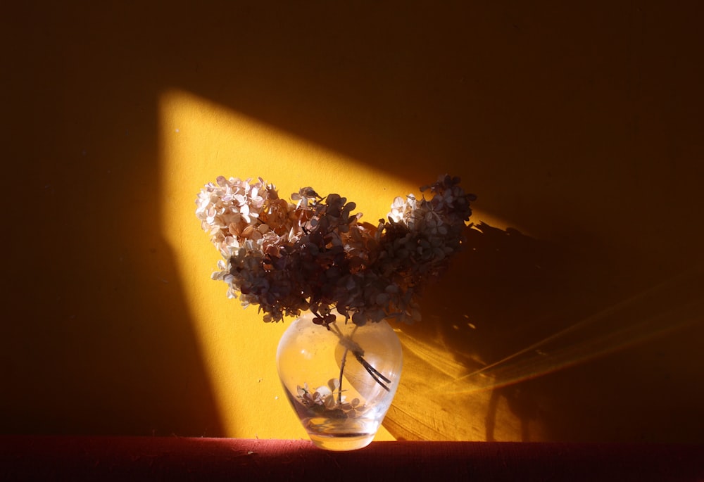 white and purple flowers in clear glass vase