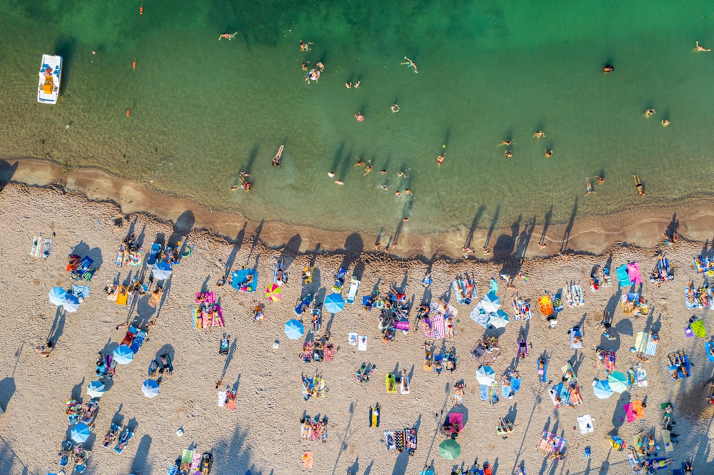 persone che nuotano sulla spiaggia durante il giorno