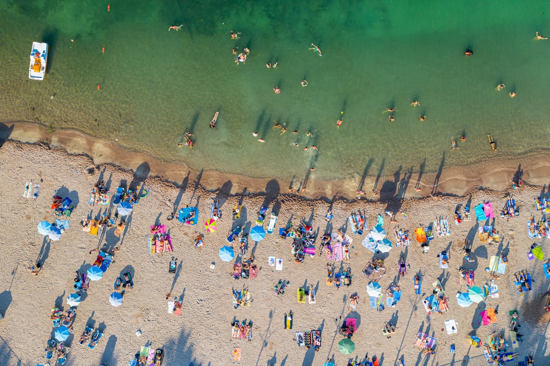 people swimming on beach during daytime