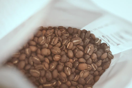 Close-up of hands holding freshly roasted Arabica coffee beans in a burlap sack.