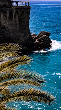 A vibrant social media campaign graphic featuring tropical blues and coastal elements.