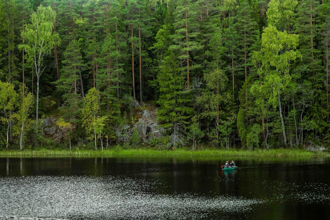 Forest photo spot Nuuksio Seurasaari