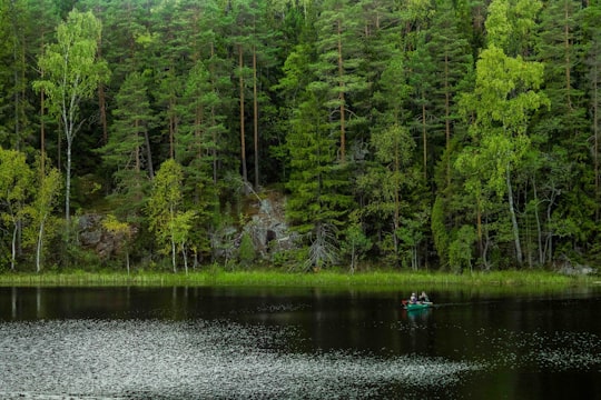 person riding on blue kayak on river during daytime in Nuuksio Finland