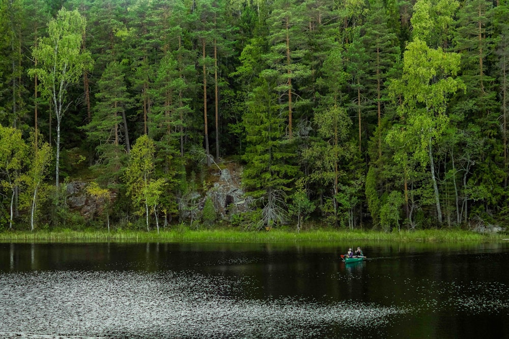 person riding on blue kayak on river during daytime